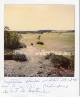 Revégétation du site Opémiska 1990. - Végétation plantée au début d’avril 1988 sur le remblai pho...