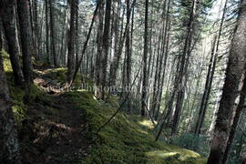 Parc Obalski, Chibougamau
