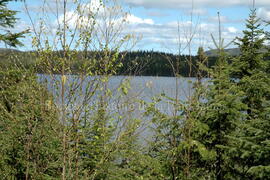 Parc Obalski, Chibougamau