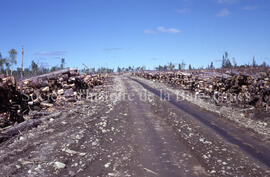 Road, pile of lumber and clearcut.