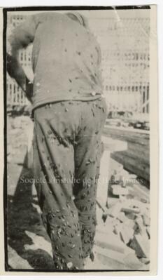 Original Digital object not accessible