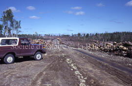 Clearcut forest and Henderson road.