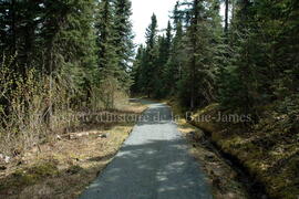 Parc Obalski, Chibougamau