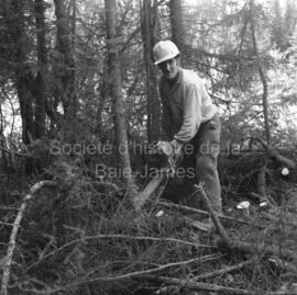Un homme sciant des arbres dans le sentier écologique