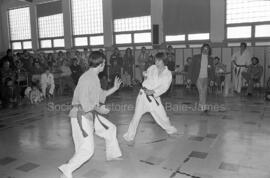 Karaté aux finales des Jeux de Québec à Chapais