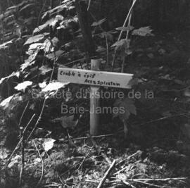 Pancarte d’identification de l’arbre