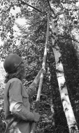 Sentier écologique des Ormes à Lebel-sur-Quévillon