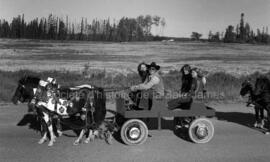 Festival Western de 1979 à Lebel-sur-Quévillon