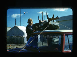 Chasse à l’orignal