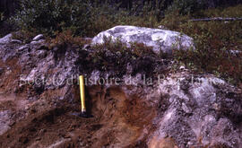 F.T. Quaternaire, Oxidation soil below boulders, Chibougamau.
