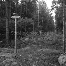 Intersection avec pancartes de directions dans le sentier écologique