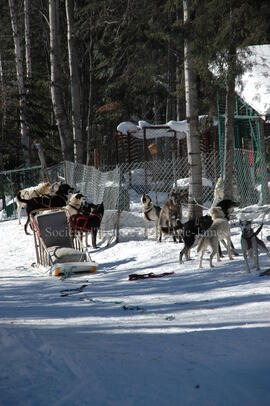 Centre Alaskan du Nord