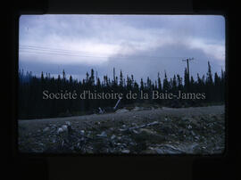 Incendie dans la forêt