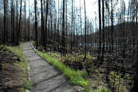 Parc Obalski, Chibougamau