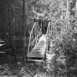Pont dans le sentier écologique