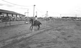 Un homme à cheval lors du Festival Western de Lebel-sur-Quévillon