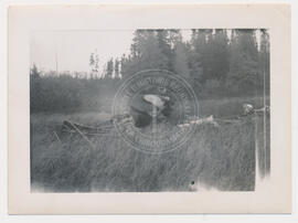 Chasse à l'orignal, Lac Lessard