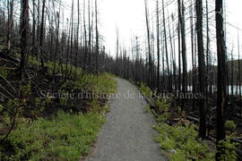 Parc Obalski, Chibougamau