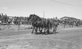 Festival Western de 1979 à Lebel-sur-Quévillon