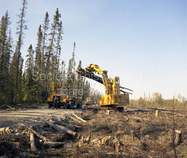 Machinerie de Domtar en forêt à Lebel-sur-Quévillon