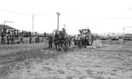 Chevaux et machinerie lors du Festival Western de Lebel-sur-Quévillon
