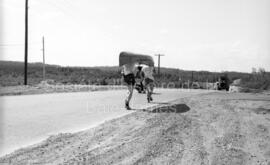 Course de canots à Lebel-sur-Quévillon