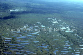 Swamp from air, Chibougamau
