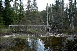 Parc Obalski, Chibougamau