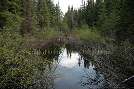 Parc Obalski, Chibougamau