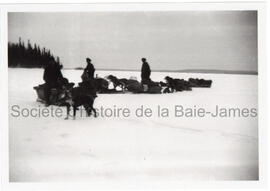 Voyage en chien de traîneaux, lac aux Dorés