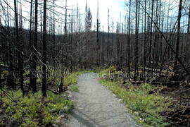 Parc Obalski, Chibougamau