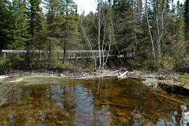 Parc Obalski, Chibougamau