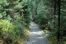 Parc Obalski, Chibougamau