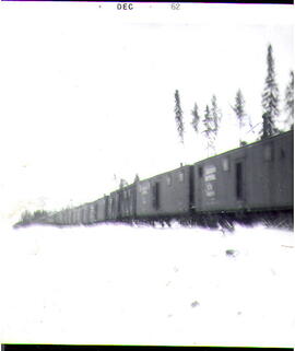 P203,S1,D1,P8 - Wagons dortoirs des travailleurs lors de la construction du chemin de fer Franque...