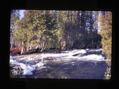 Original Digital object not accessible