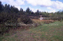 Parc Allard, Chibougamau