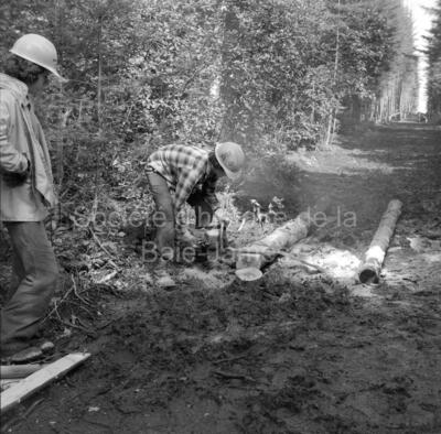 Original Digital object not accessible