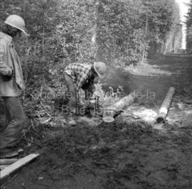 Deux étudiants travaillant sur l’aménagement du sentier écologique