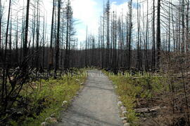 Parc Obalski, Chibougamau